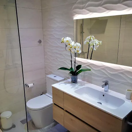 Apartment Burgo Nuevo Atico De Lujo En Pleno Centro Con Terraza Y Vistas - Leonapartamentos *