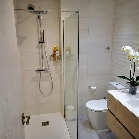 Burgo Nuevo Atico De Lujo En Pleno Centro Con Terraza Y Vistas - Leonapartamentos Apartment *