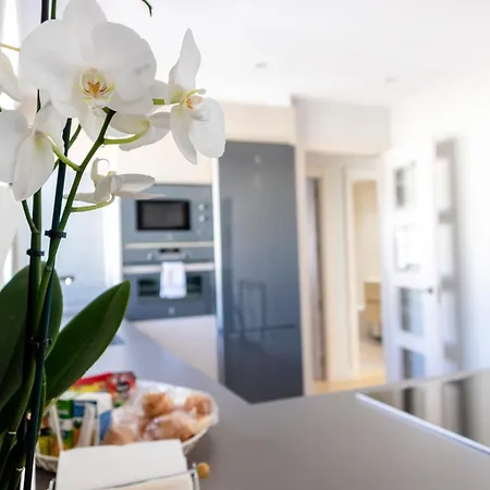 Burgo Nuevo Atico De Lujo En Pleno Centro Con Terraza Y Vistas - Leonapartamentos León