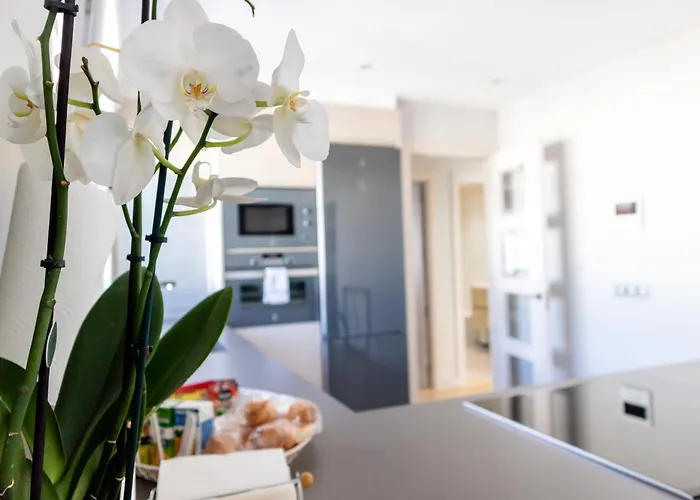 Burgo Nuevo Atico De Lujo En Pleno Centro Con Terraza Y Vistas - Leonapartamentos Leon