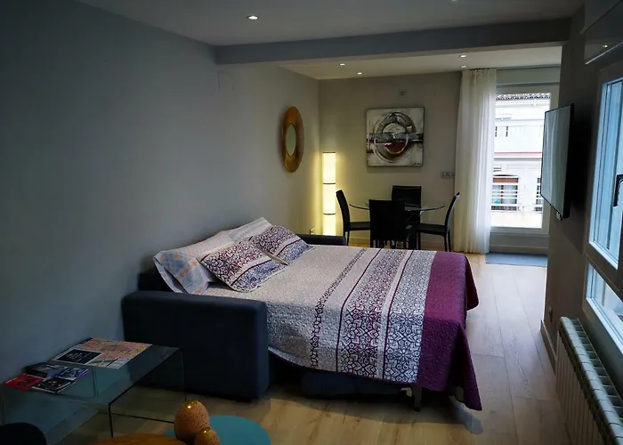 Apartment Burgo Nuevo Atico De Lujo En Pleno Centro Con Terraza Y Vistas - Leonapartamentos Leon